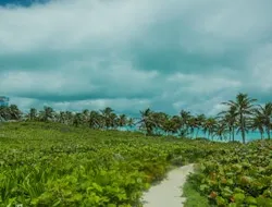 Isla Contoy & Isla Mujeres: Boat and Snorkel Tour from Cancún